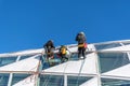 Professional window cleaners hanging on side of modern building against a blue sky