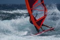 Professional windsurfer riding high waves Royalty Free Stock Photo