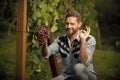 professional winegrower on grape farm. man harvester on quality summer harvest. ok. Royalty Free Stock Photo