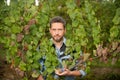 professional winegrower on grape farm. man harvester on summer harvest. enologist Royalty Free Stock Photo