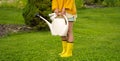 A professional woman gardener with a watering can is irrigating her lawn and flowers.