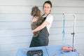 Professional woman groomer holding on hands cute brown poodle dog after haircutting in pet care salon or in clients home Royalty Free Stock Photo