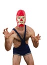 Professional Wrestler With Mask