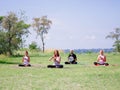 A group of four holds yoga classes in the park. Healthy lifestyle. Royalty Free Stock Photo