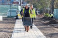 A professional young man-gardeners pushing wheelbarrow in the city park or square near newly planted trees at spring or autumn Royalty Free Stock Photo