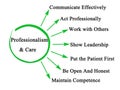 Professionalism & Care