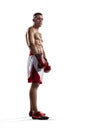 Professionl boxer is isolated on white Royalty Free Stock Photo