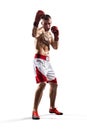 Professionl boxer is isolated on white Royalty Free Stock Photo