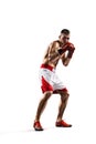 Professionl boxer is isolated on white Royalty Free Stock Photo