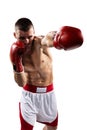 Professionl boxer is isolated on white Royalty Free Stock Photo