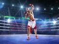 Professionl boxer is standing on the ring Royalty Free Stock Photo