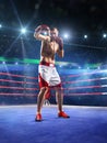 Professionl boxer is standing on the ring Royalty Free Stock Photo