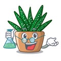 Professor character small zebra cactus plant on pot