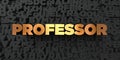 Professor - Gold text on black background - 3D rendered royalty free stock picture