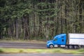 Profile of big rig blue semi truck with dry van semi trailer running on the local road with evergreen forest on the background Royalty Free Stock Photo