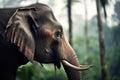 profile of an elephant with a jungle backdrop