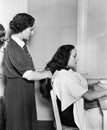 Profile of a female hairdresser cutting a young woman's hair