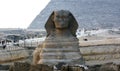A profile of the Great Sphinx of Giza including pyramid of Khafre and pyramids desert in the background