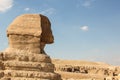 Profile the great Sphinx at the Giza pyramids complex, architectural monument in Egypt Royalty Free Stock Photo