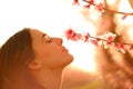 Profile of a woman smelling flowers in spring at sunset Royalty Free Stock Photo