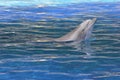 Head of bottlenose dolphin