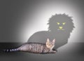 Cat with lion shadow Royalty Free Stock Photo