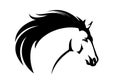 Profile mustang horse head vector portrait Royalty Free Stock Photo