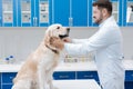 Profile photo of bearded man that wearing medical uniform Royalty Free Stock Photo