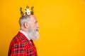 Profile photo of cool grandpa white beard vip king guy looking empty space wear golden crown plaid red blazer tie outfit
