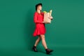 Profile photo of housewife lady paper bag food look empty space go wear hat red dress boots isolated green color Royalty Free Stock Photo
