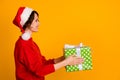 Profile photo of pretty funny lady celebrate winter holidays hold big large giftbox present delivery giving customer