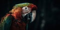 Profile portrait of green-winged macaw parrot. Generative AI Royalty Free Stock Photo