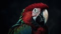 Profile portrait of green-winged macaw parrot. Generative AI Royalty Free Stock Photo