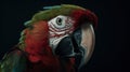 Profile portrait of green-winged macaw parrot. Generative AI Royalty Free Stock Photo