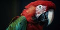 Profile portrait of green-winged macaw parrot. Generative AI Royalty Free Stock Photo