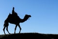 profile of rider and camel against a clear, blue sky Royalty Free Stock Photo