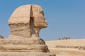 Profile Shot Of The Egyptian Sphinx With People Riding Camels In The Background Royalty Free Stock Photo