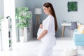 Profile side photo of gorgeous pretty cute lovely pregnant girl touching tummy waiting childbirth living room interior Royalty Free Stock Photo