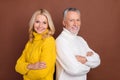 Profile side view portrait of two attractive cheerful grey-haired people folded arms care isolated over brown color Royalty Free Stock Photo