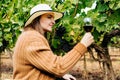 Profile view of a happy woman winemaker tasting red wine Royalty Free Stock Photo