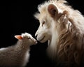 The profile of White Lamb and Lion was isolated on a black background.