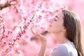 Profile of a woman smelling flowers in a pink field Royalty Free Stock Photo