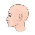 Profile bald female girl clean fresh skin vector illustration