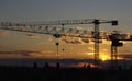 Profiles of building cranes at sunset