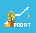 Profit concept. Financial growth. Investments and revenue increase.