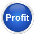 Profit premium blue round button