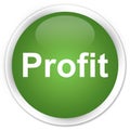 Profit premium soft green round button Royalty Free Stock Photo
