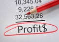 Profit text accounting numbers