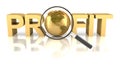Profit word with golden globe and magnifying glass