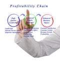 Profitability Chain